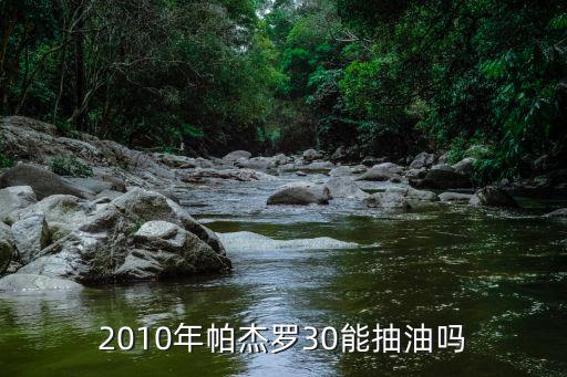 2010年帕杰罗30能抽油吗