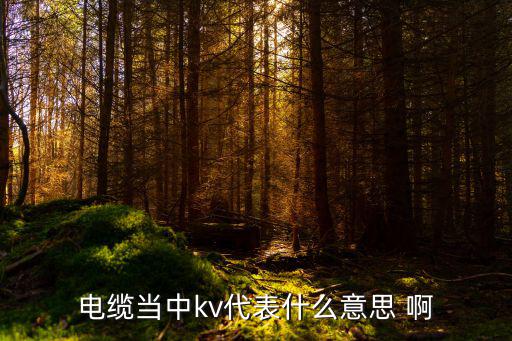 电路kv是什么意思，电气图形符号中Kv什么意思