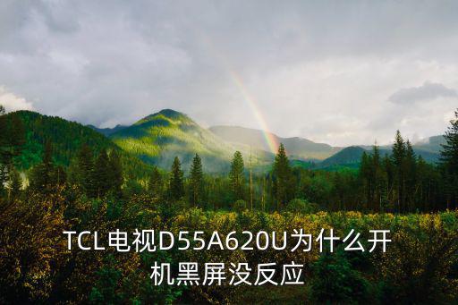 TCL电视D55A620U为什么开机黑屏没反应