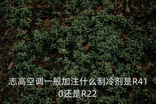志高空调一般加注什么制冷剂是R410还是R22