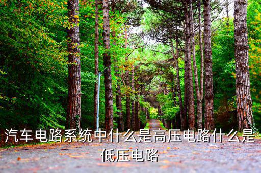汽车电路系统中什么是高压电路什么是低压电路