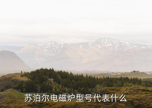 苏泊尔电磁炉型号代表什么