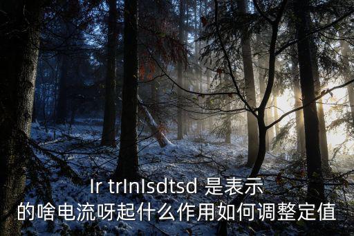 TSD电路是什么意思，Ir trInIsdtsd 是表示的啥电流呀起什么作用如何调整定值