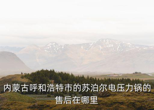 内蒙古呼和浩特市的苏泊尔电压力锅的售后在哪里
