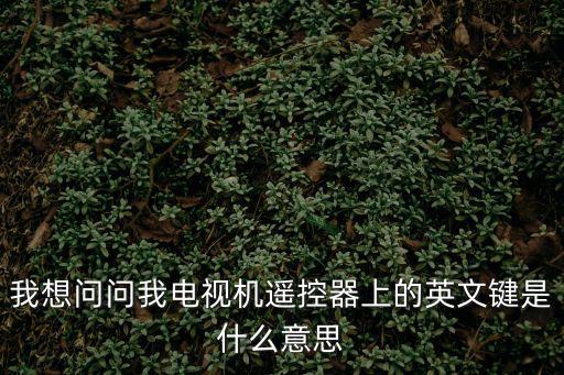 我想问问我电视机遥控器上的英文键是什么意思