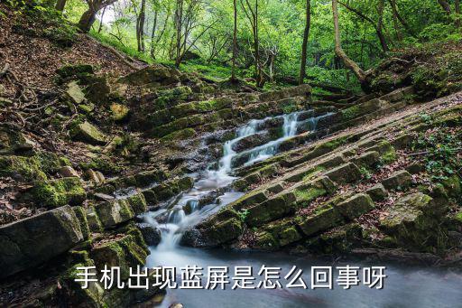 手机蓝屏什么原因有哪些，手机蓝屏是什么原因