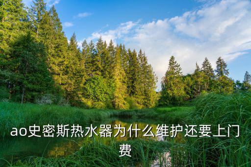史密斯远程费是什么，史密斯燃气热水器安装费用怎么算