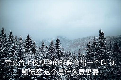 抖音时尚标签都指什么，什么叫标签