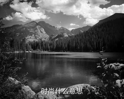 时尚什么意思