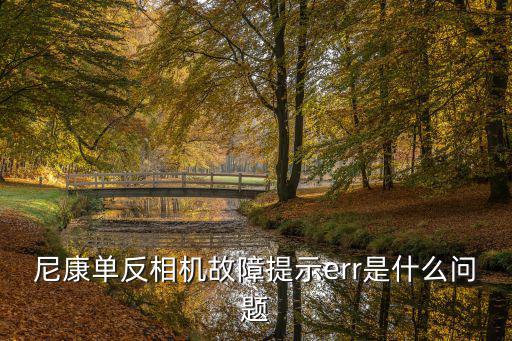 尼康单反相机故障提示err是什么问题