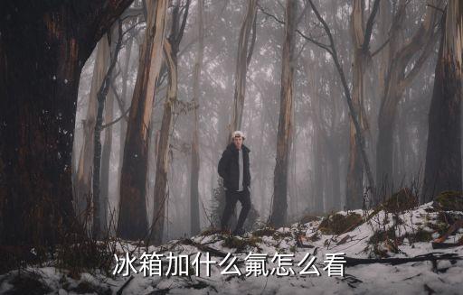 冰箱加的是什么氟，冰箱中的氟是一种什么物质