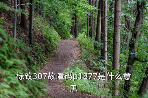 p1687是什么故障码，标致307故障码p1877是什么意思
