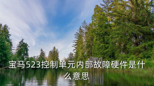 bsi内部故障是什么意思，雪铁龙c4lbsi系统显示故障码b1003配置错误