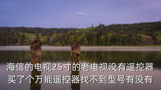 海信彩电25寸遥控什么型号，海信TF25L用什么型号摇控器