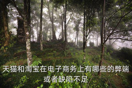 淘宝时尚产业的缺点是什么，时尚的弊端