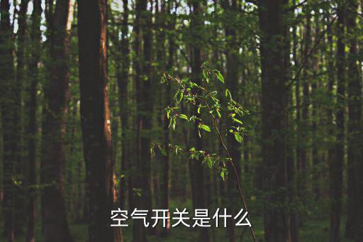 空气开关是什么
