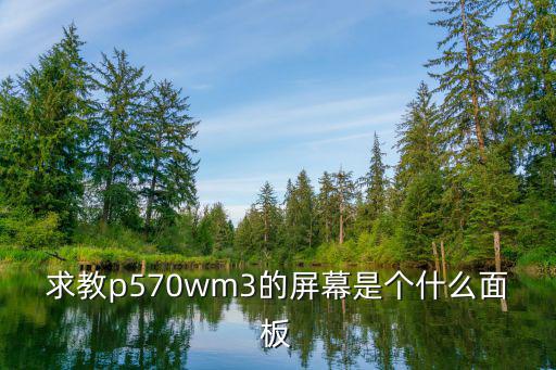 求教p570wm3的屏幕是个什么面板