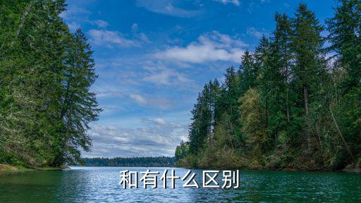 vgh vghp有什么区别，和分别有什么区别能不能写成