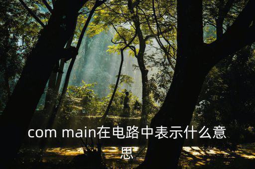 com main在电路中表示什么意思