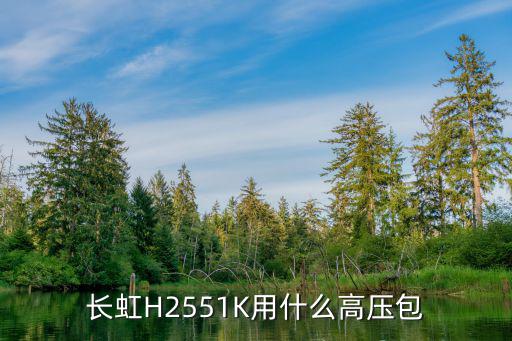 长虹H2551K用什么高压包