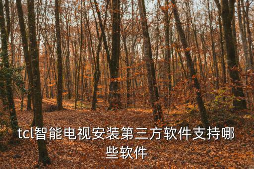 tcl智能电视安装第三方软件支持哪些软件
