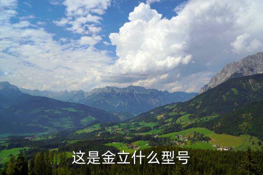 这是金立什么型号