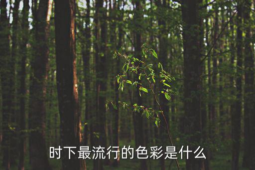 时下最流行的色彩是什么