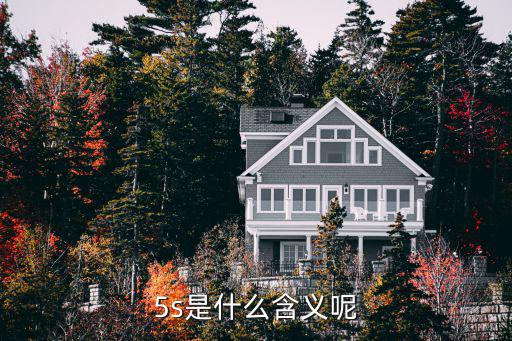 5s是什么含义呢