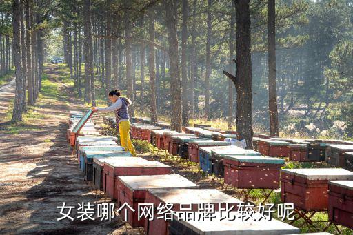网红时尚女装哪个牌子好，女装哪个网络品牌比较好呢