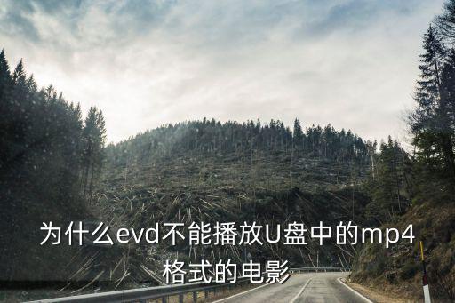 8202l能解什么视频格式，SPHE8202l支持什么格式的视频和游戏
