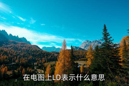 在电图上LD表示什么意思