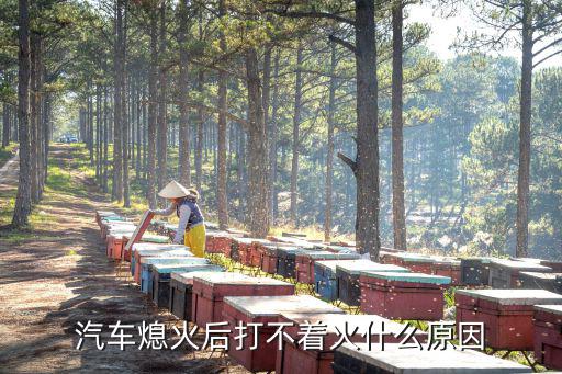 车熄火打不起火是什么原因，汽车熄火后打不着火是什么原因