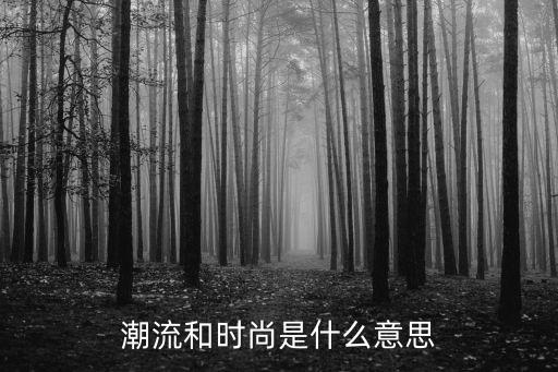 潮流和时尚是什么意思