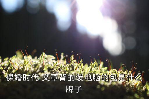 裸婚时代 文章背的装电脑的包是什么牌子