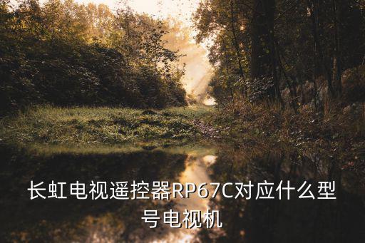 长虹电视遥控器RP67C对应什么型号电视机
