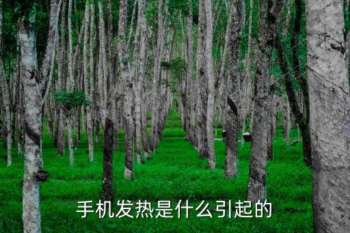 手机发热是什么引起的