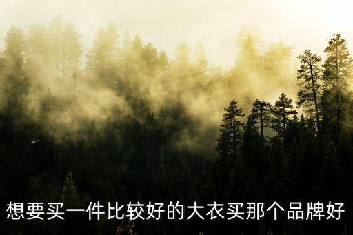 毛呢大衣哪个品牌好点时尚，哪个牌子的呢子大衣质量比较好啊
