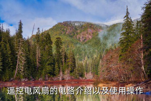 风扇用什么遥控开关，松桥风扇遥控属于哪个类型