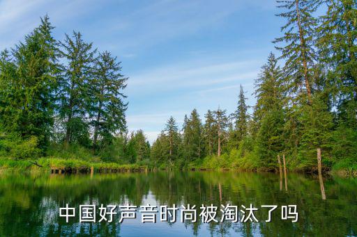 好声音时尚为什么被淘汰了，中国好声音时尚第几期被淘汰