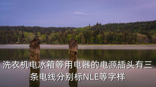 洗衣机电冰箱等用电器的电源插头有三条电线分别标NLE等字样