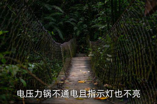 电压力锅不通电是什么原因，电压力锅不通电且指示灯也不亮