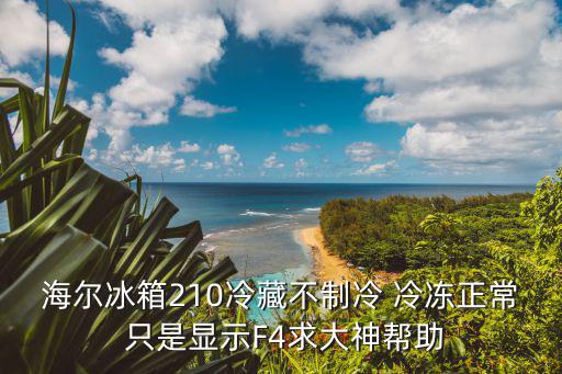 海信冰箱f4是什么意思，冰箱显示F4