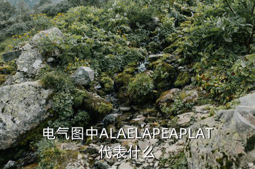 电路图中at表示什么意思，电气图中ALAELAPEAPLAT代表什么