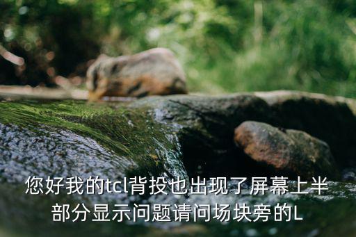 TcL29276场块在什么位，TCLNT29C41场扫描块型号是多少