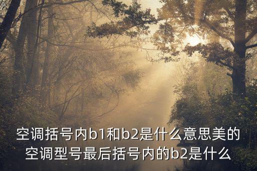 空调括号内b1和b2是什么意思美的空调型号最后括号内的b2是什么