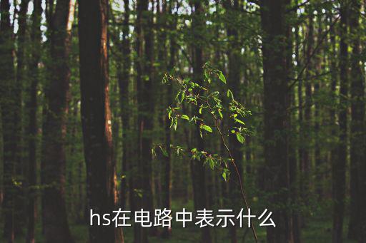 hs在电路中表示什么