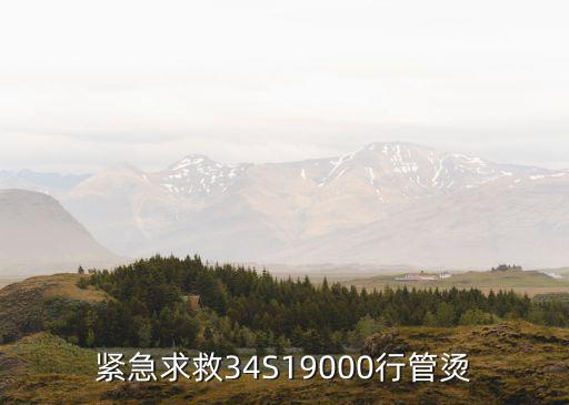 紧急求救34S19000行管烫