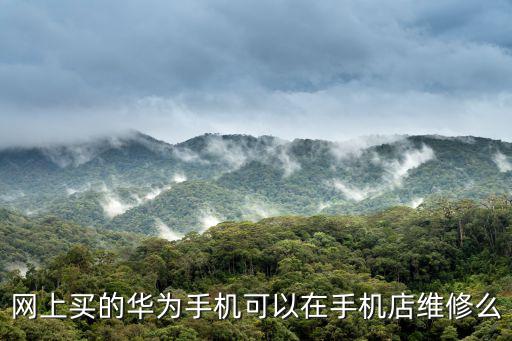 什么手机店可以修4s，哪个手机店可以修苹果手机