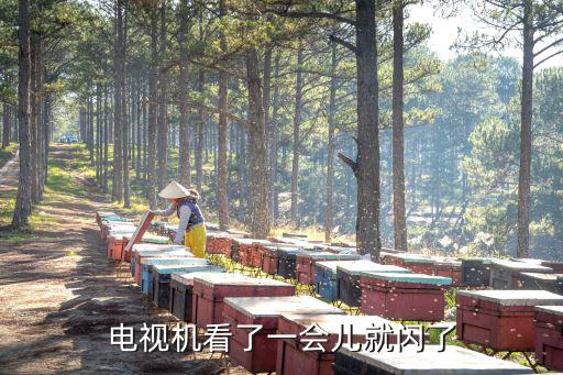 电视机看了一会儿就闪了