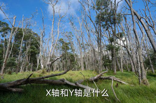 X轴和Y轴是什么